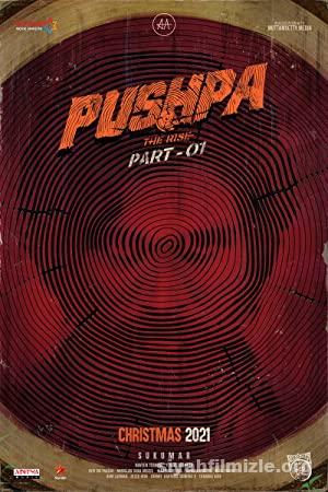 Pushpa: The Rise 2021 Filmi Türkçe Dublaj Altyazılı izle