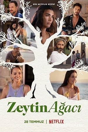 Zeytin Ağacı 1.Sezon izle Yerli Dizi Full Sansürsüz