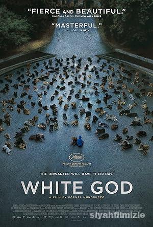 Beyaz Tanrı (White God) 2014 Filmi Türkçe Dublaj Full izle